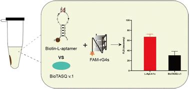 via g|Capture of RNA G.